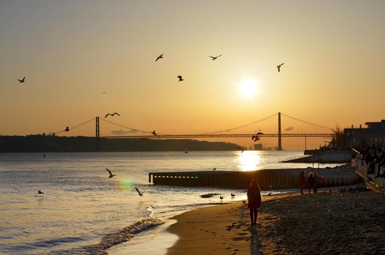 Famous Crows Pensión Lisboa